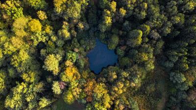 Lake trees aerial view 4k wallpaper