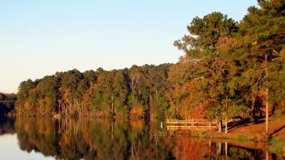 Lake trees autumn reflection 4k wallpaper