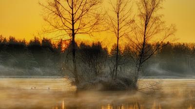 Lake trees fog image 4k wallpaper