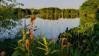 Lake trees landscap 4k wallpaper