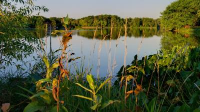 Lake trees landscape 4k wallpaper