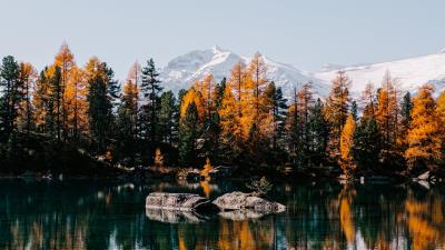 Lake trees mountains picture 4k wallpaper