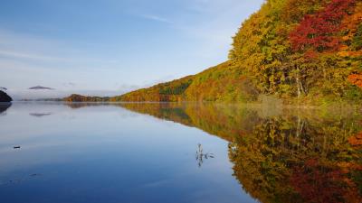 Lake trees reflection 4k wallpaper