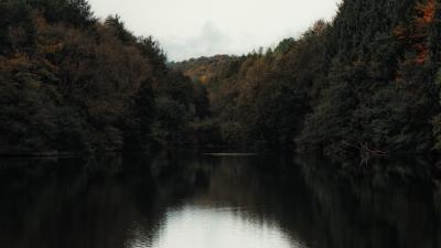 Lake trees shore 4k wallpaper