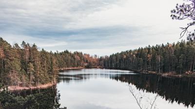 Lake trees spruce picture 4k wallpaper