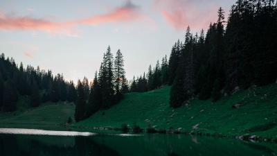 Lake trees spruce 4k wallpaper