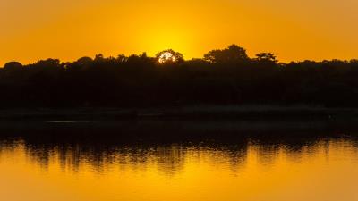 Lake trees sunset 4k wallpaper