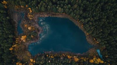 Lake trees top view 4k wallpaper