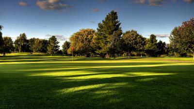 Lawn field golf tree 4k wallpaper