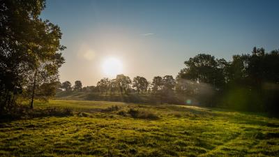 Lawn sun glare 4k wallpaper