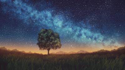 Lawn tree night 4k wallpaper