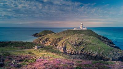 Lighthouse relief flowers 4k wallpaper