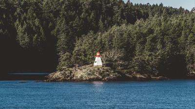 Lighthouse sea shore trees 4k wallpaper