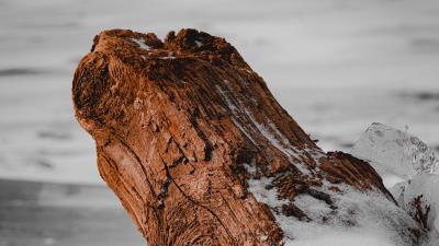 Log ice snow 4k wallpaper