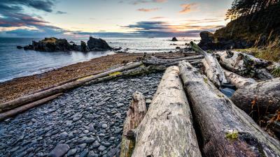 Logs coast sunset 4k wallpaper