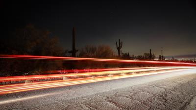 Long exposure cactus starry sky 4k wallpaper