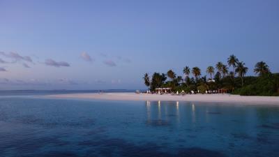 Maldives tropical beach palm trees evening 4k wallpaper