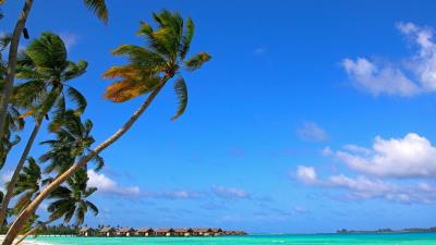 Maldives tropical beach summer 4k wallpaper