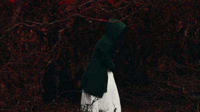 Man hood forest 4k wallpaper