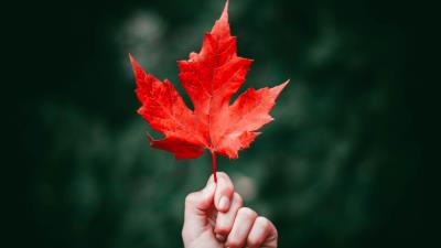 Maple leaf autumn hand image 4k wallpaper