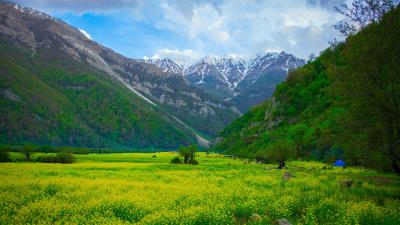 Meadow mountains flowers 4k wallpaper