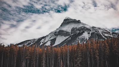 Mountain bottom view trees 4k wallpaper