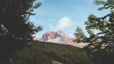 Mountain fog branches 4k wallpaper