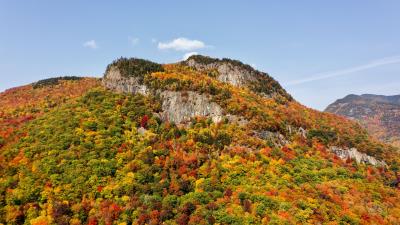 Mountain forest slope 4k wallpaper
