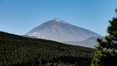 Mountain peak forest image 4k wallpaper