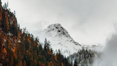 Mountain peak forest pic 4k wallpaper