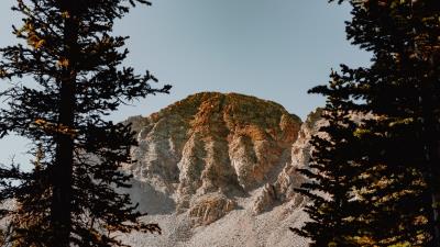 Mountain rocks spruce 4k wallpaper
