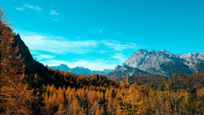 Mountains autumn trees 4k wallpaper