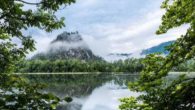 Mountains branches lake picture 4k wallpaper