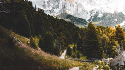 Mountains forest path 4k wallpaper