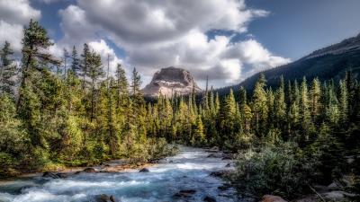 Mountains forest river 4k wallpaper