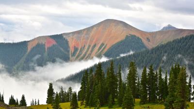 Mountains forest spruce 4k wallpaper