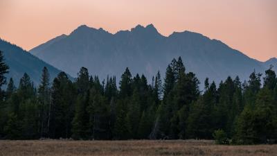 Mountains forest trees wall 4k wallpaper