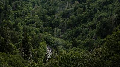 Mountains forest valley image 4k wallpaper