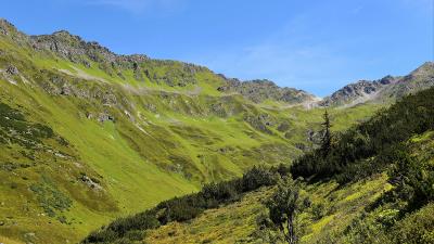 Mountains grass tyrol panorama 4k wallpaper