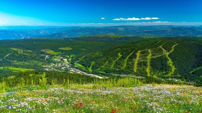 Mountains hills flowers 4k wallpaper