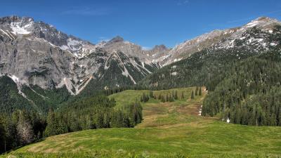 Mountains hills trees grass landscape 4k wallpaper