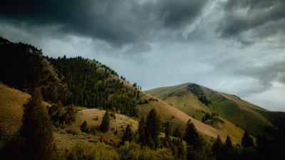 Mountains hills trees 4k wallpaper