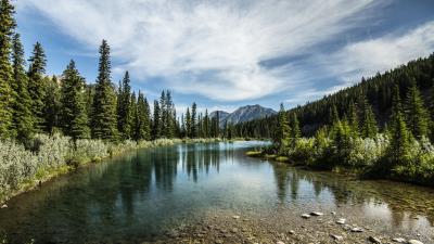 Mountains lake forest image 4k wallpaper