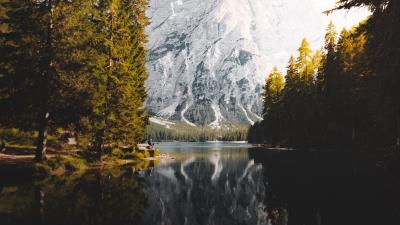 Mountains lake forest 4k wallpaper