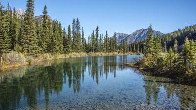 Mountains lake spruce image 4k wallpaper