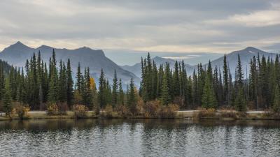 Mountains lake spruce picture 4k wallpaper