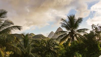 Mountains palm landscape 4k wallpaper