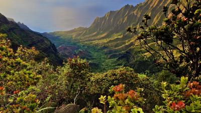 Mountains plants shrubs landscap 4k wallpaper