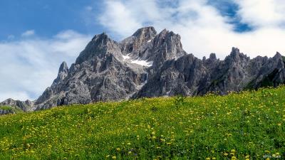 Mountains rocks flowers image 4k wallpaper