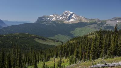 Mountains rocks forest picture 4k wallpaper